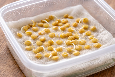 контейнер поставить в  тёплое место