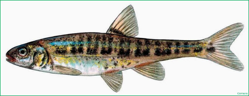 (фото из открытых источников)