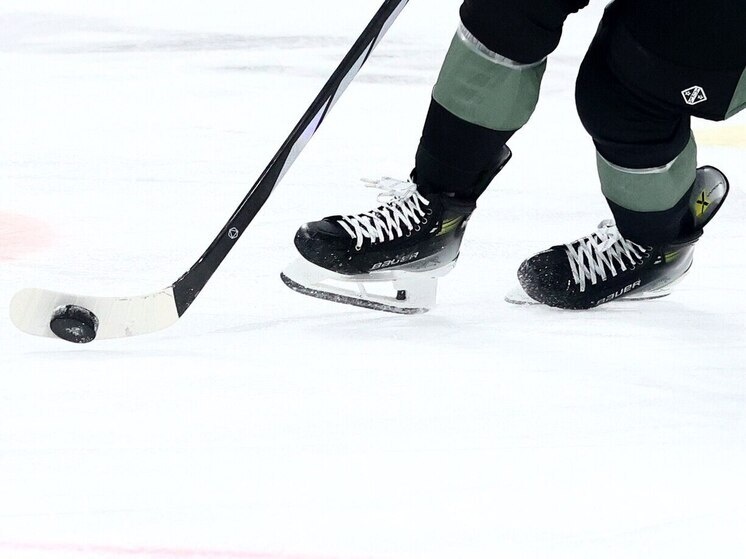     Фото из архива "МК в Мурманске" / Дарья Иванова