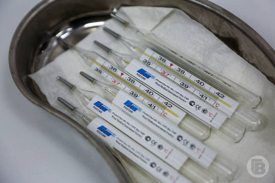    Фото: Дмитрий Рогулин / "Городские вести"