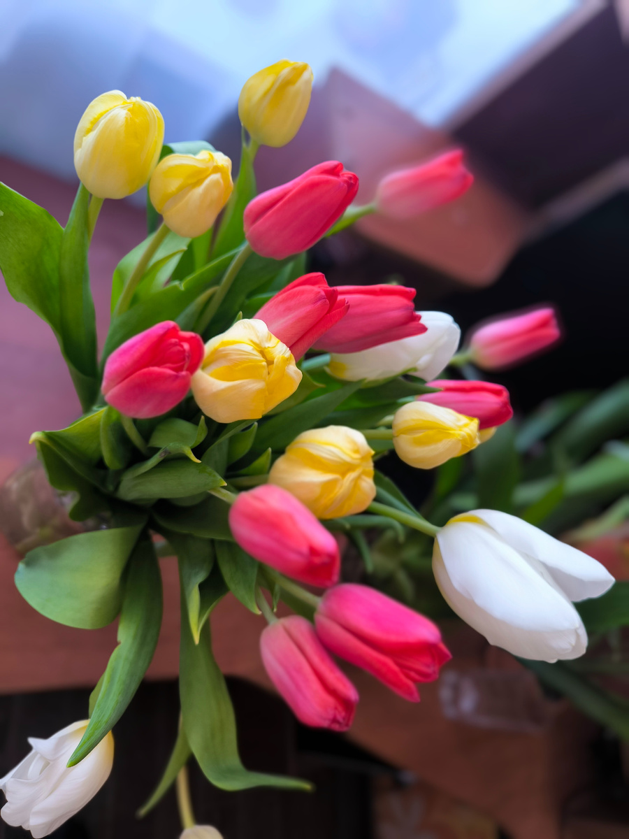 Все фотографии в статье авторские. 