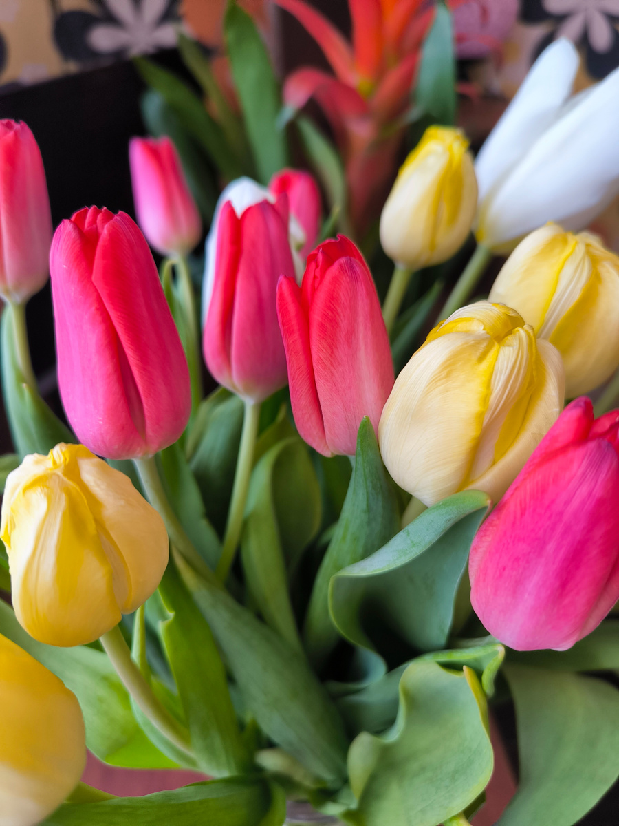 Цветы от самых любимых