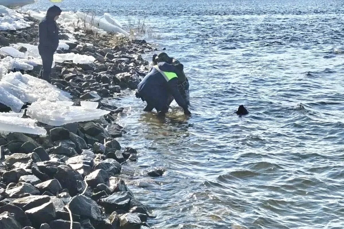    Тело провалившегося под лед волжанина обнаружили у СНТ «Химик»