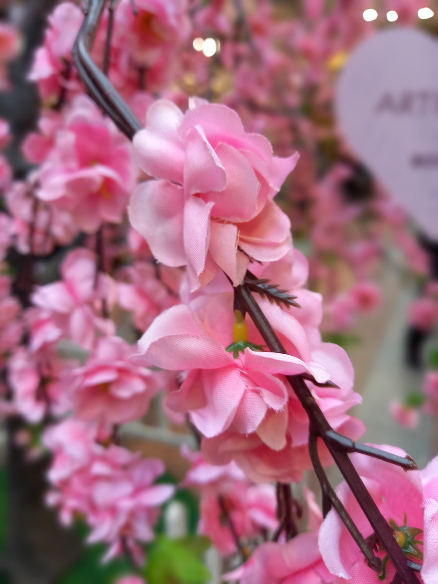 ГУМ (Москва)