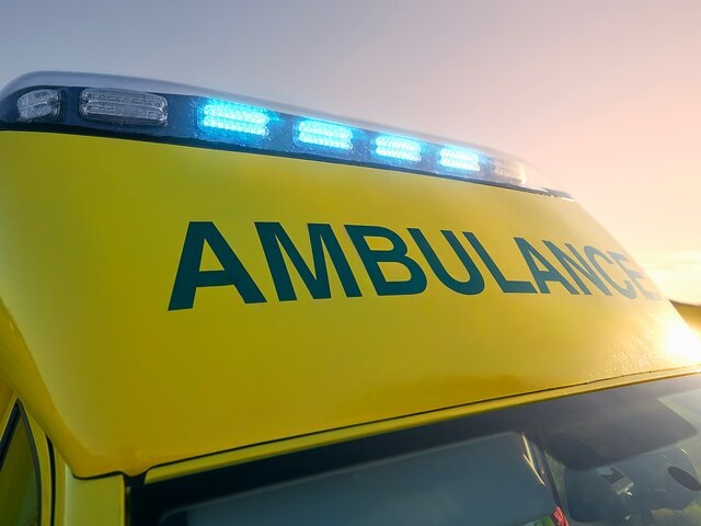    Фото: 123RF.com/chalabala