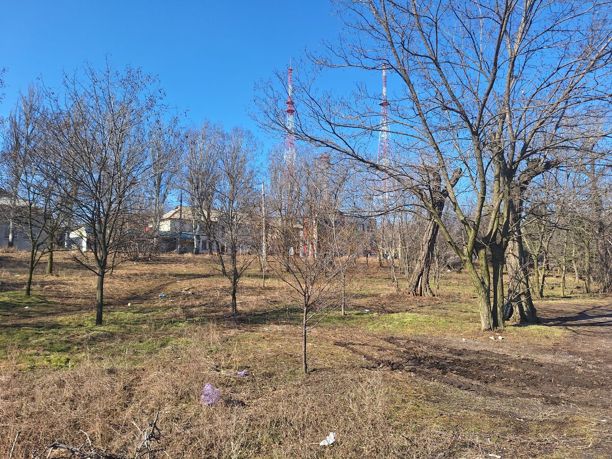 Фото автора.