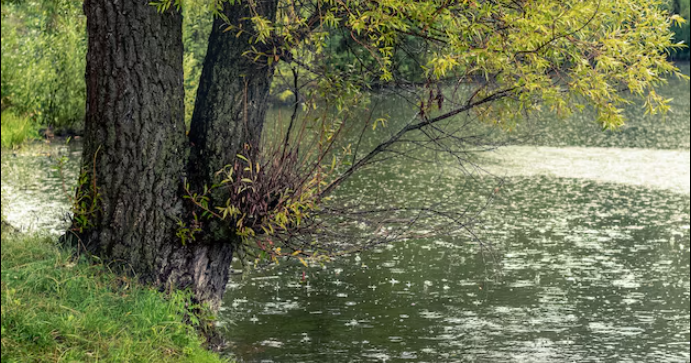 Работают ли рыболовные приметы? Это то, что не заменят даже эхолоты!