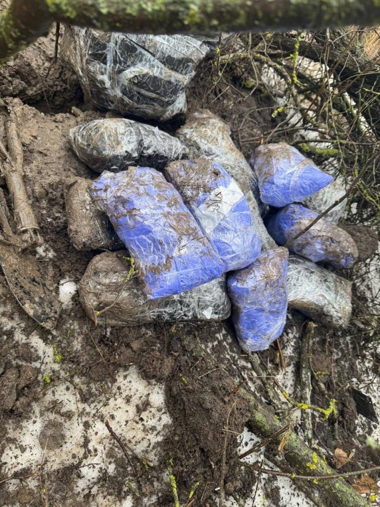      Фото пресс-службы ГУ МВД России по Ростовской области Газета Колос