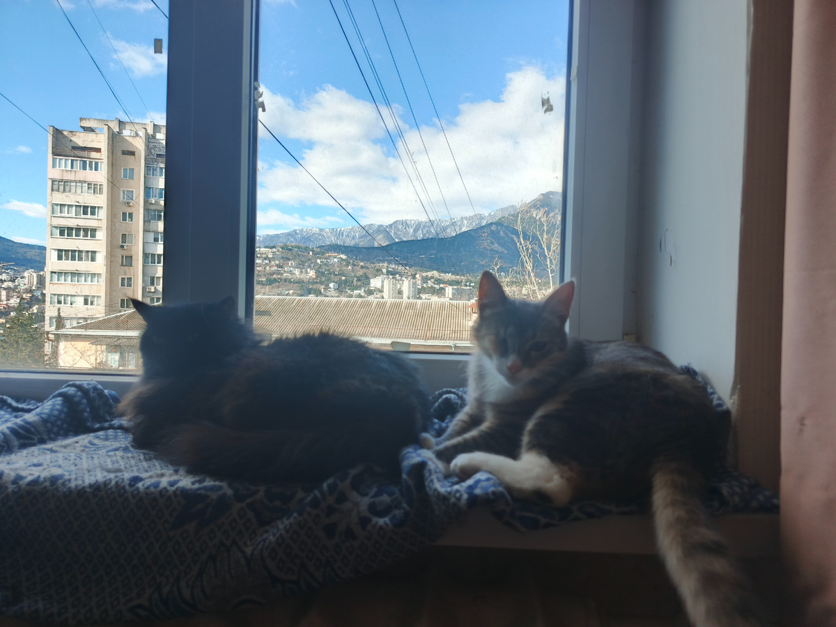 Иногда дружат)