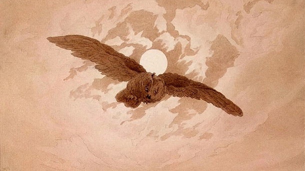     Каспар Давид Фридрих. Летящая сова на фоне лунного неба   
undefined