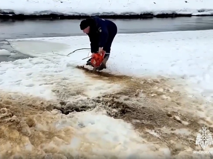   Кадр из видео