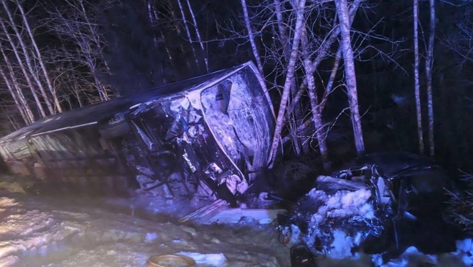    Полиция возбудила уголовное дело о нарушении ПДД после смертельного ДТП в Ленобласти Автор фото: Пресс-служба ГУ МВД России по Петербургу и Ленобласти