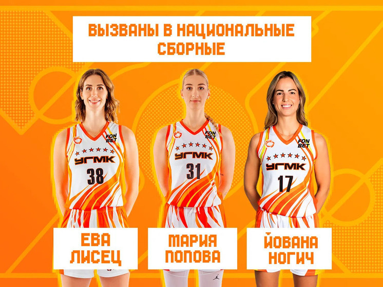     Иллюстрация: basket.ugmk.com