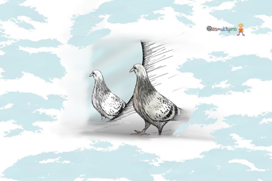 Обучающие истории от @asmultpro