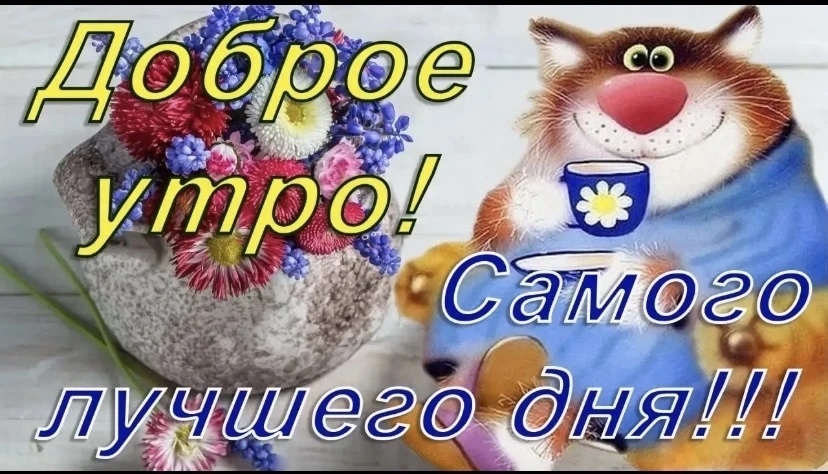 Изображение взято из сети Интернет 