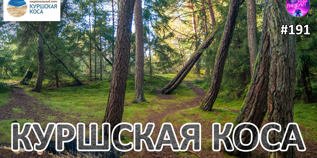 4 места в Калининградской области, которые нас действительно удивили