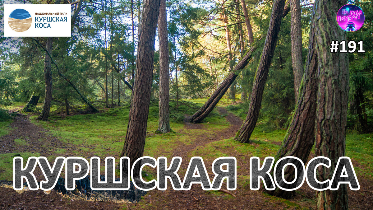 Куршская коса