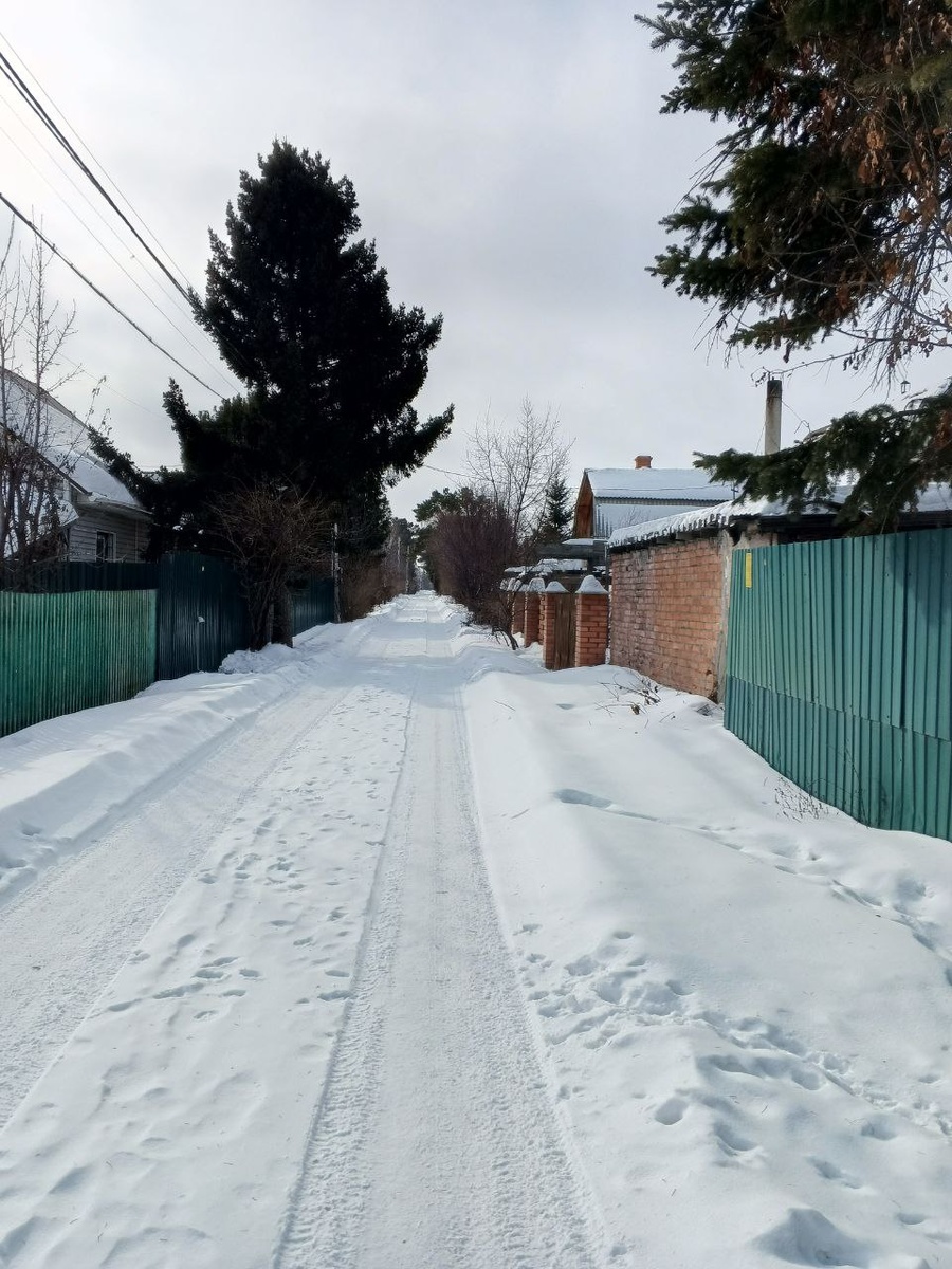 Аллея образца 8.03.2026