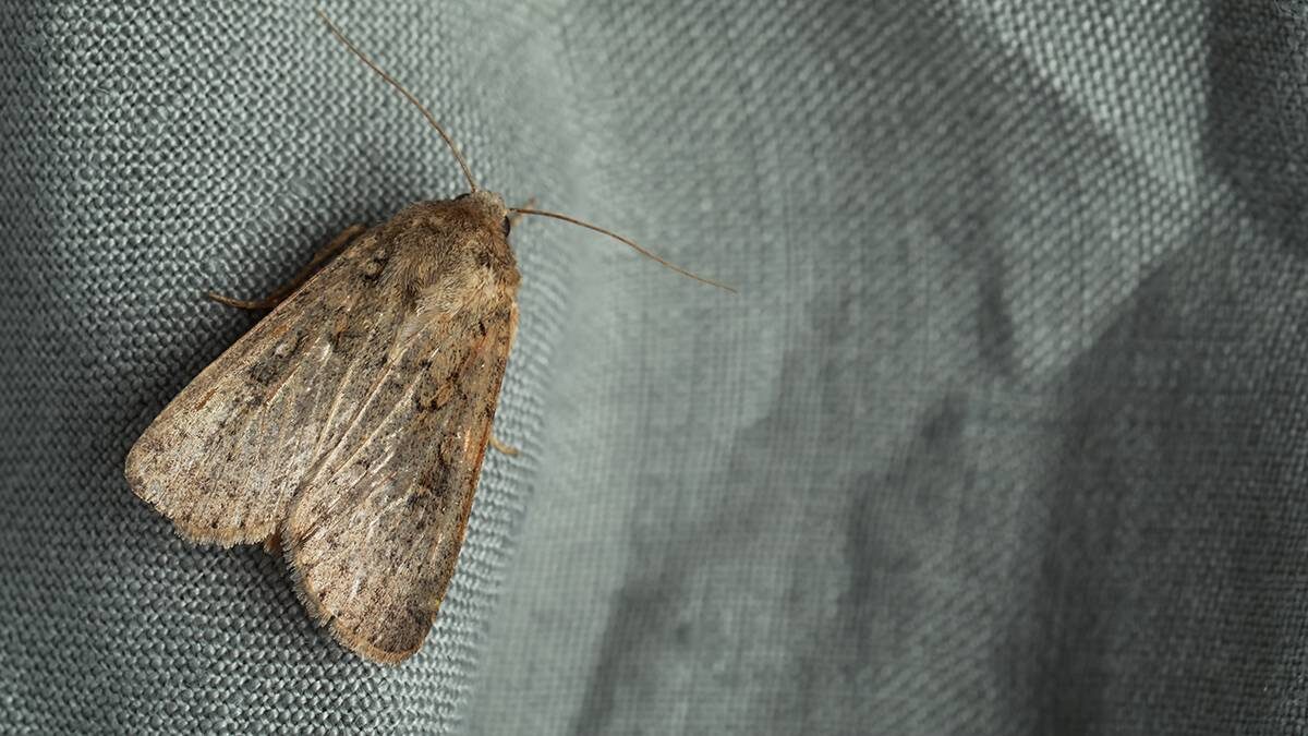    Фото: Shutterstock