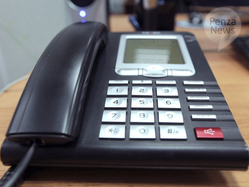    © Фото из архива ИА «PenzaNews»