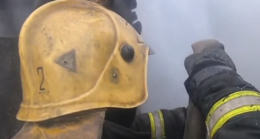    Фото: скриншот видео