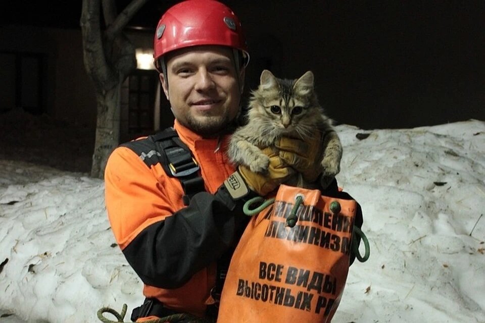 Илья спас немало животных, их хозяева ему благодарны
Фото: Предоставлено "Комсомолке".