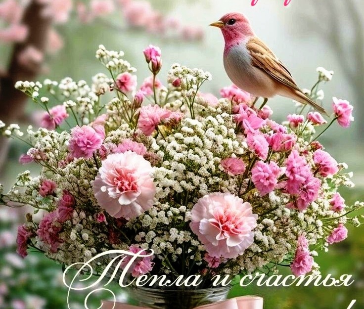 Фото из свободного доступа