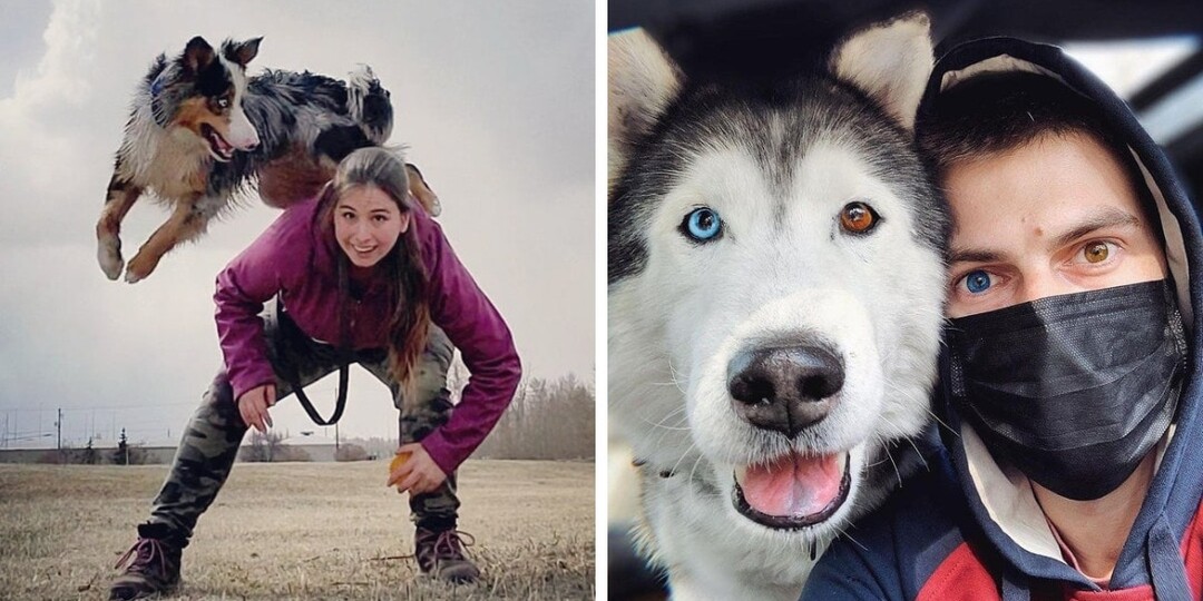 18 милых и забавных фотографий собак, которые согреют и подарят улыбку даже в самый хмурый день