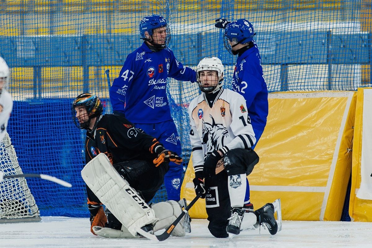 Фото: «Динамо-Москва» хоккей с мячом.