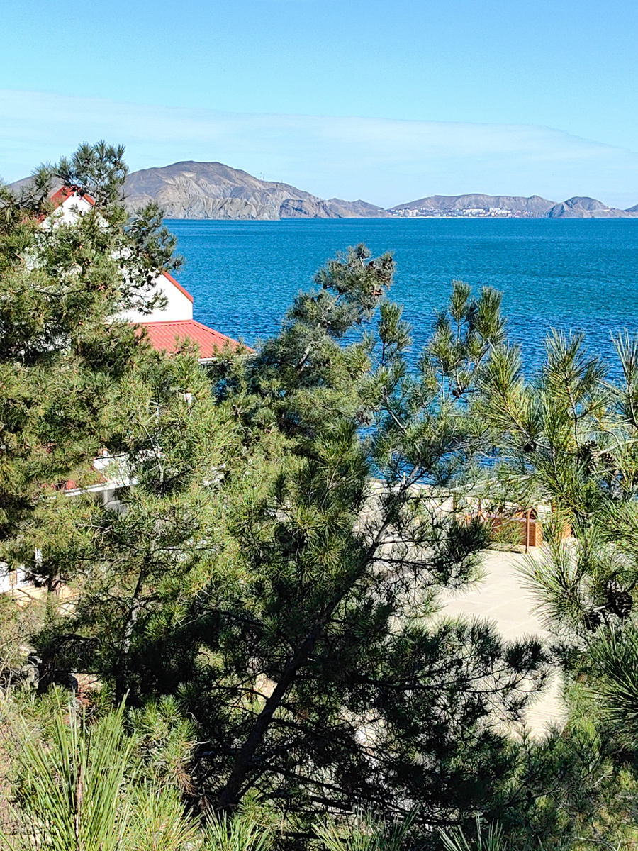 Сегодня. Фото автора канала