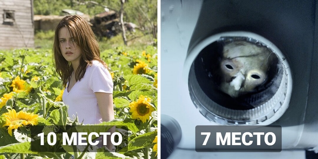 Учёные провели эксперимент и узнали, какой ужастик самый страшный — в этом им помогла реакция организма