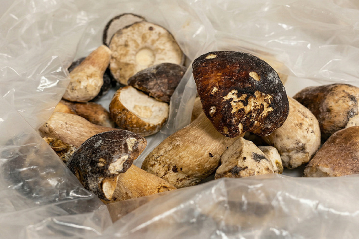    Фото: ЦОК АПК