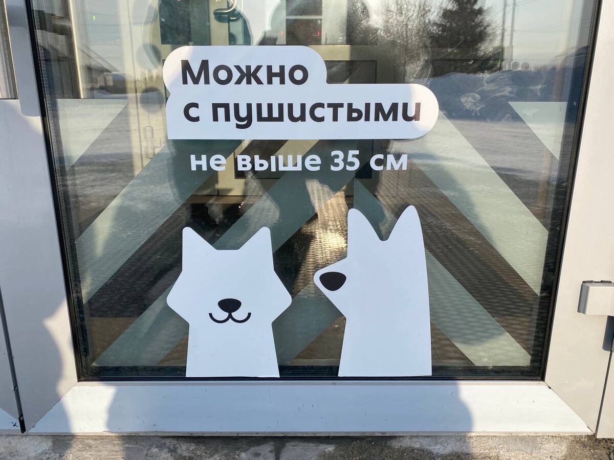 фото сделано мной на входе в магазин «Пятёрочка». Намеренно не стала его фильтровать или ещё как-то улучшать, чтобы быть ближе к реальной жизни