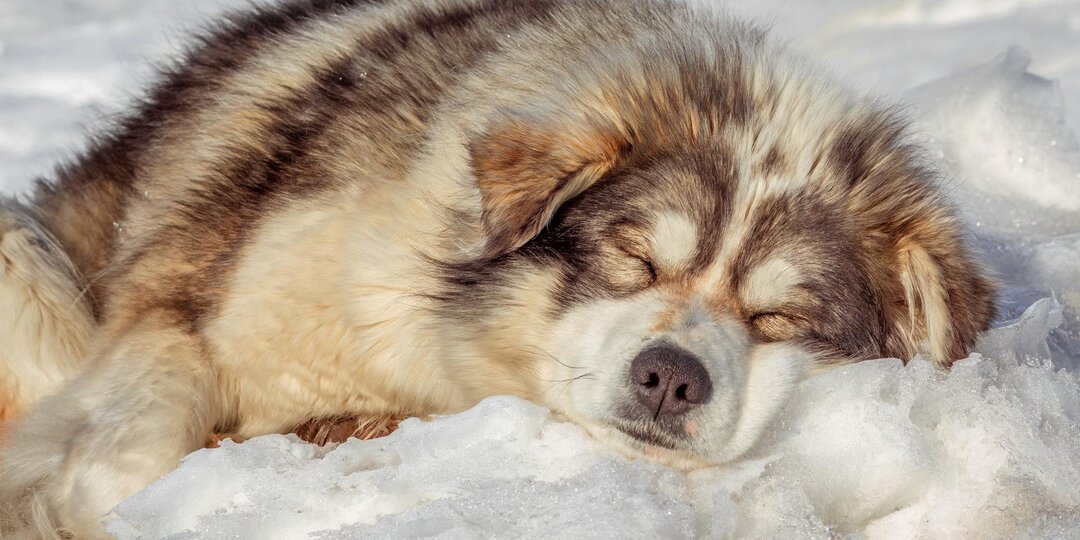 Вот и познакомились…