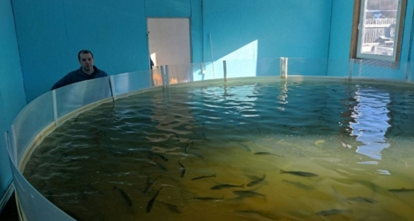    Фото Минсельхоза Коми