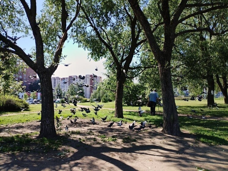     За добровольцами наблюдали 12 лет. Фото: Архив МК в Великом Новгороде