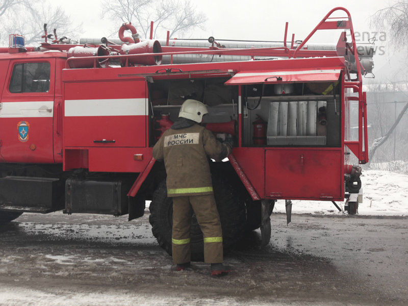    © Фото из архива ИА «PenzaNews»