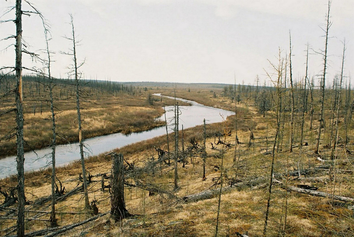 Река Вилюй в Якутии — бассейн легендарной Долины смерти Елюю Черкечех. Непроходимая тайга северо-запада Якутии, где местные жители находили загадочные металлические котлы. 
Источник: https://www.yaplakal.com/forum2/topic2395307.html
