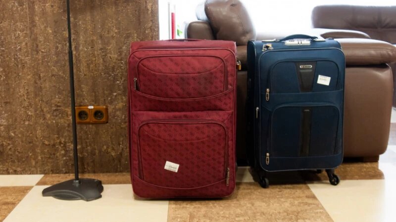     Чемоданы. Дмитрий Лямзин