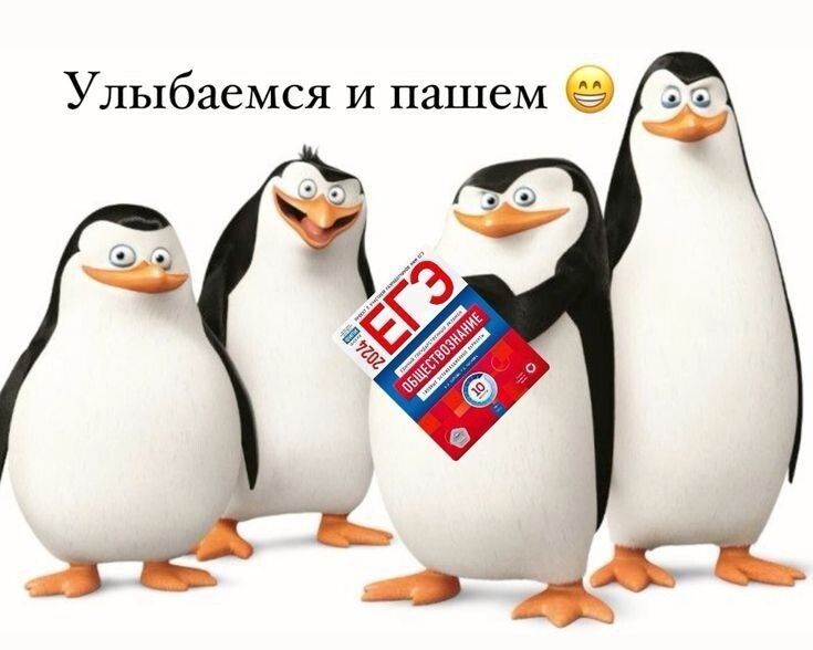 100% мой девиз на эти полгода