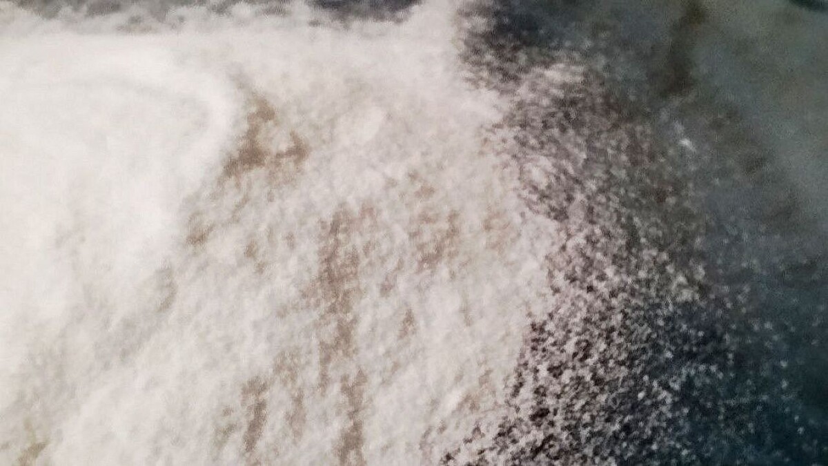    Фото: телеканал «Краснодар»