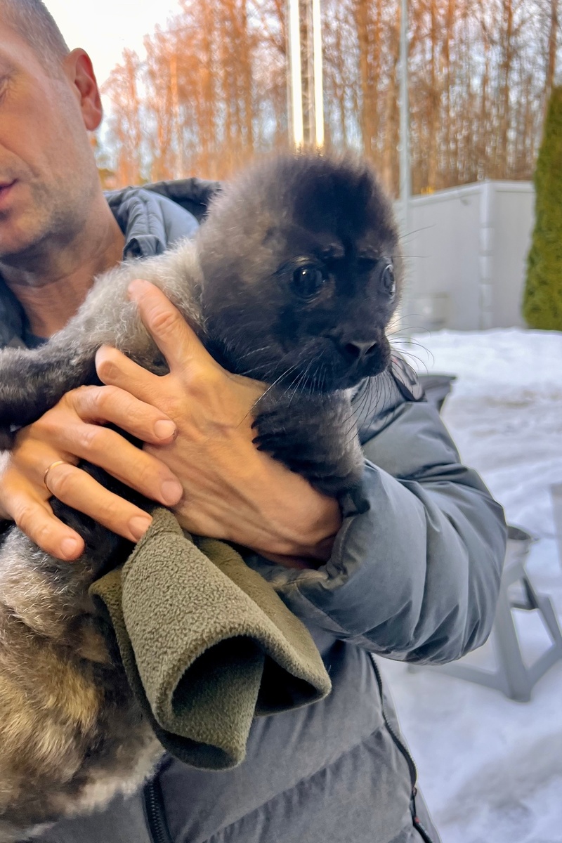 Листайте вправо, чтобы увидеть больше изображений