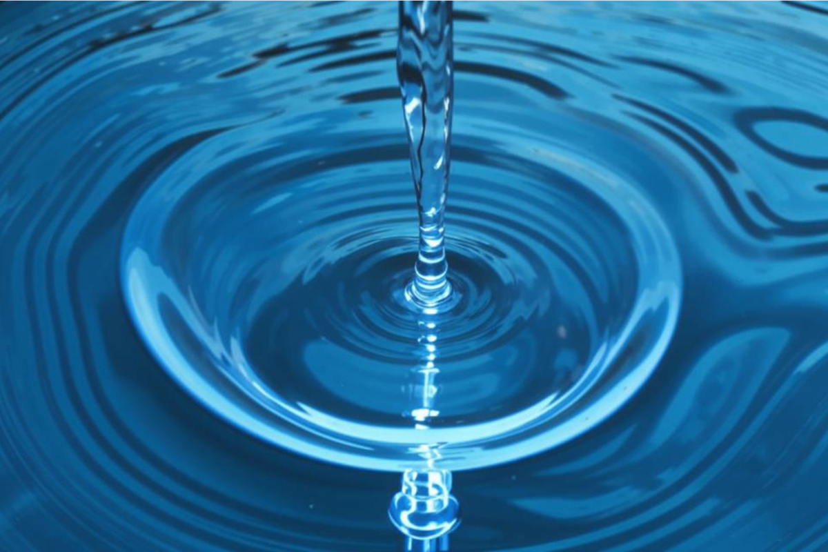    Фото: сгенерировано нейросетью Kandinsky