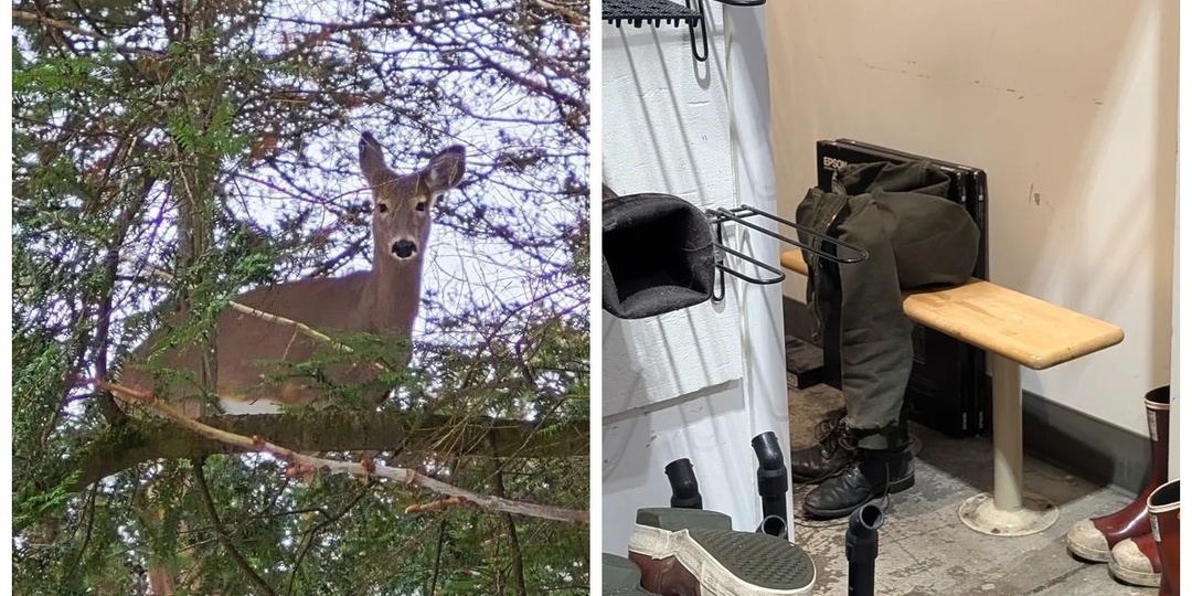 20 примеров обычной реальности, трансформирующейся в иллюзию