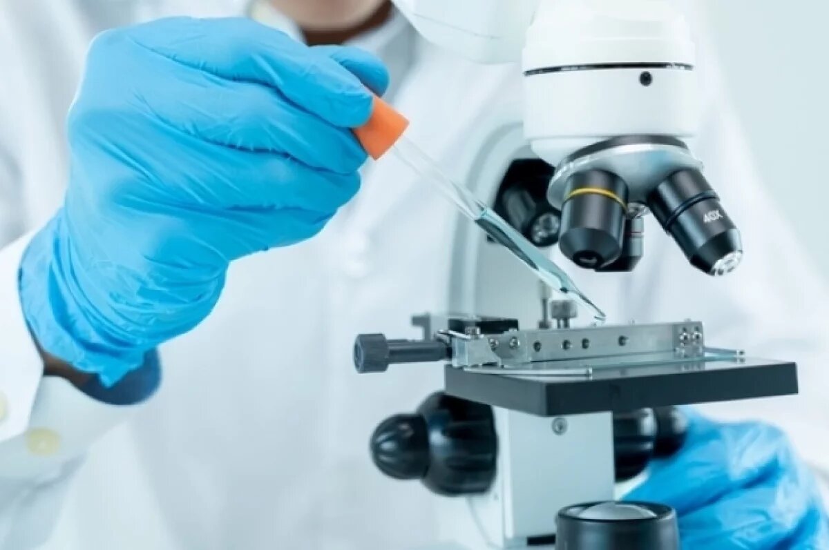    Доцент Гурина рассказала, как учёные из Китая меняют свойства продуктов