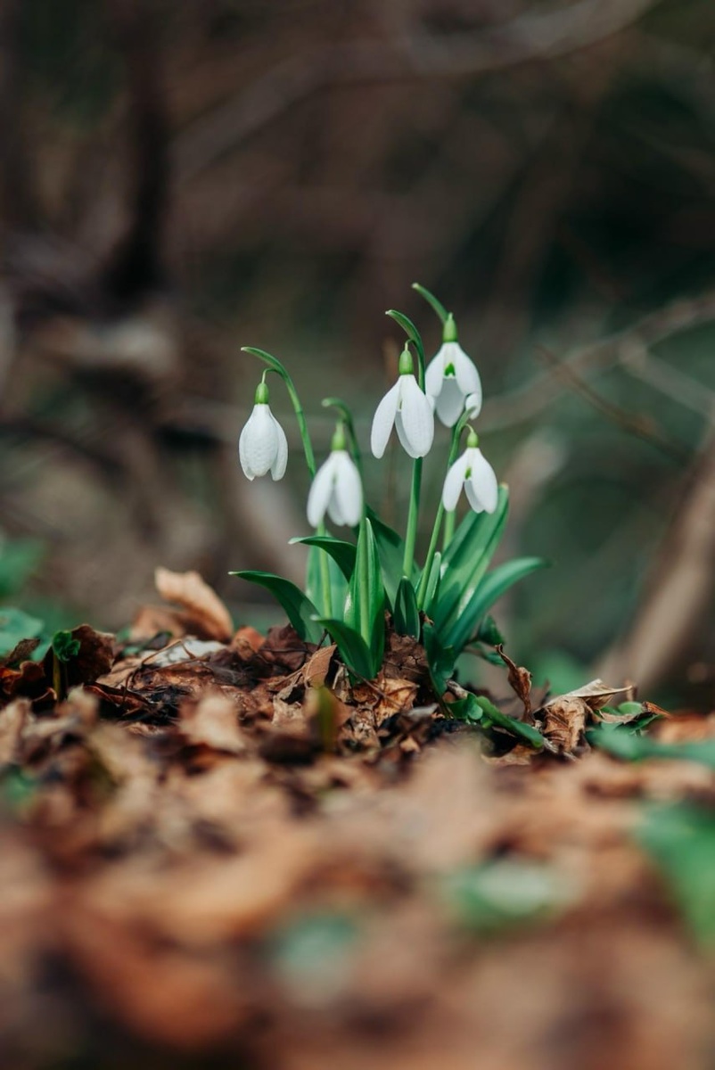 Прут во всю везде. Фото из местных наших чатов