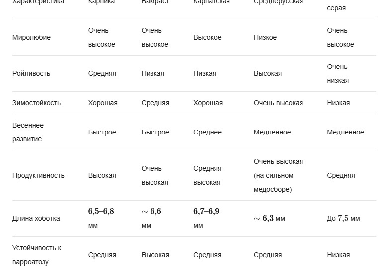 Выбор пчёл для пасеки.