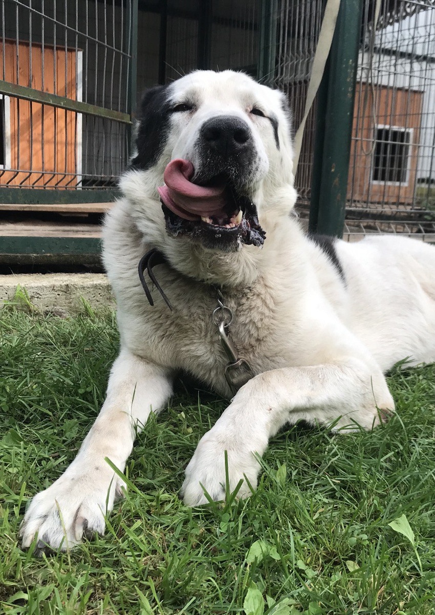 Туркмен Кала Орак