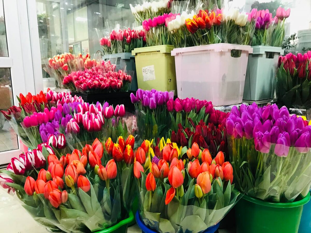 Фото: "СвоёТВ"