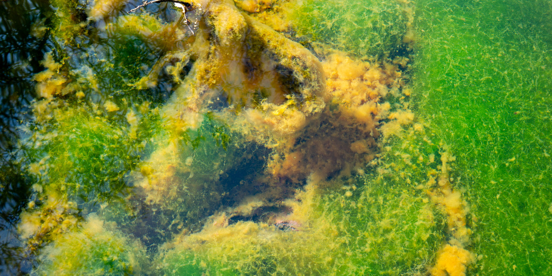 Еще немного нездешнего